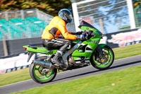 Middle Group Green Bikes